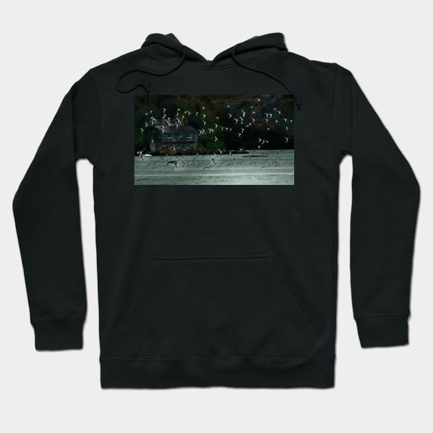 OYSTERS ON THE MENAI STRAITS Hoodie by dumbodancer